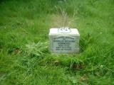 image of grave number 236279